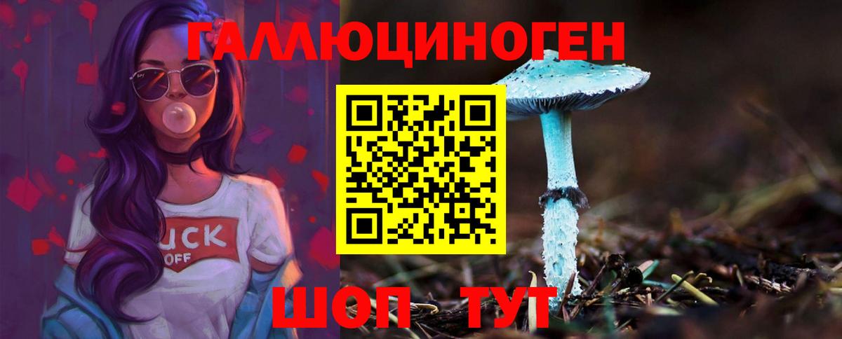 Галлюциногенные грибы Cubensis Новодвинск